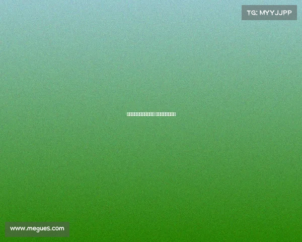 柏林赫塔主场迎战弗赖堡 德甲焦点战全解析 柏林赫塔主场迎战弗赖堡 德甲焦点战全解析