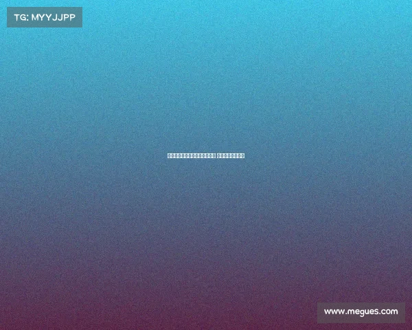 曼联豪购世界级中场球员全解析 重塑中场霸主地位